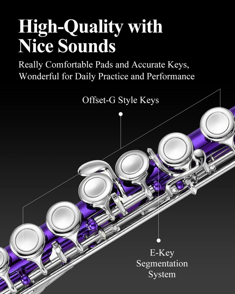 Eastar Closed Hole 16 Keys Flute for Beginner Kids Student with Fingering Chart, Cleaning Kit, Stand, Case, Gloves, Tuning Rod, Purple, EFL-1Pu - Image 3